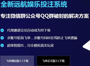 東莞正規(guī)公司精品站服務 提升您的互聯網信息服務體驗